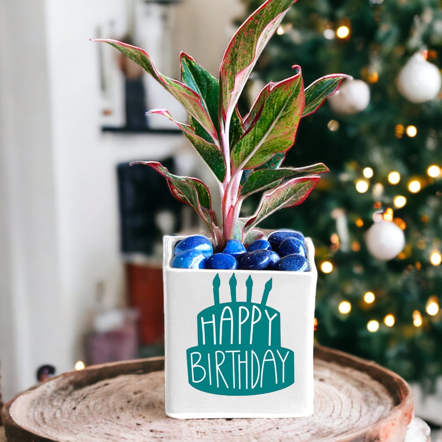 Personalised Birthday Plant Pot Personalised with Any Name & Message