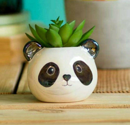 Cute little panda pot