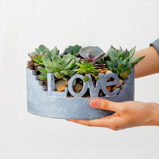 Love plant pot