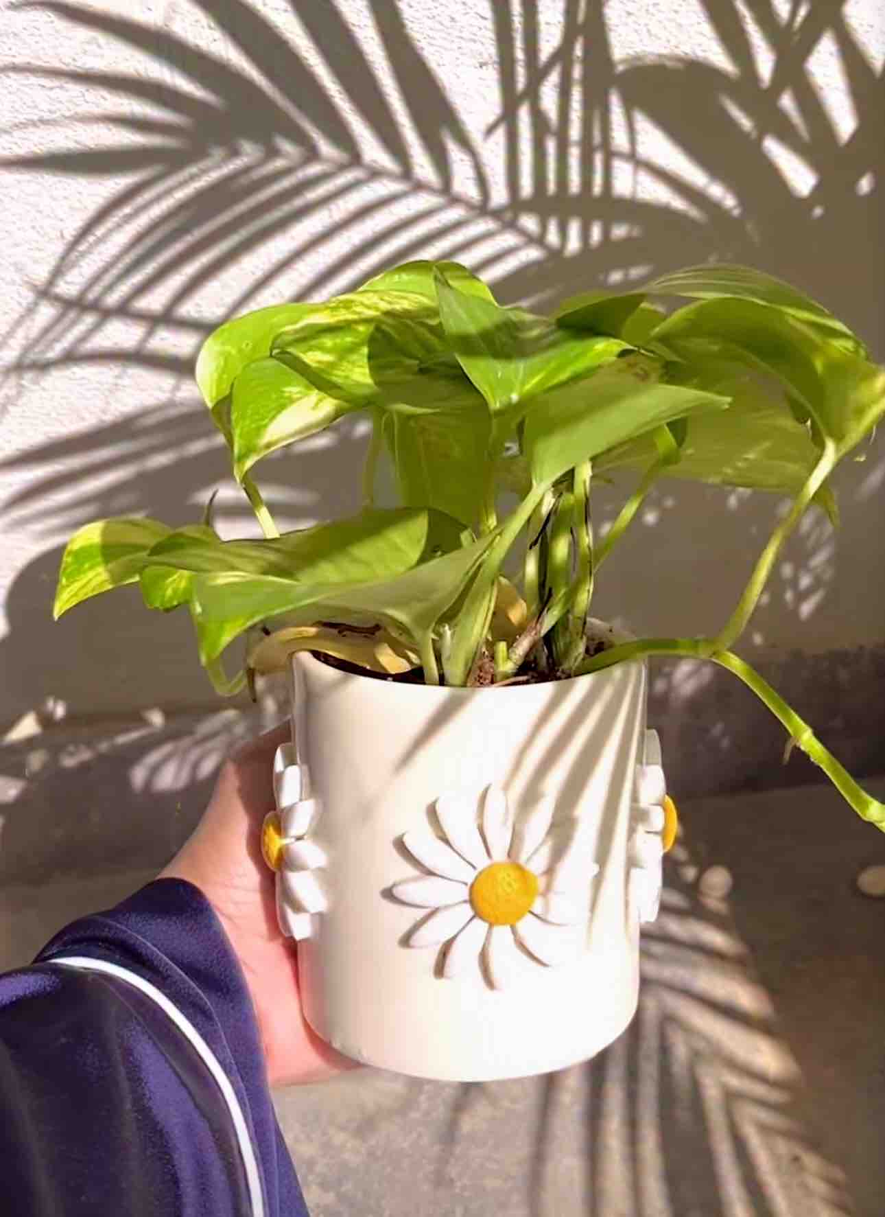 White flower pot