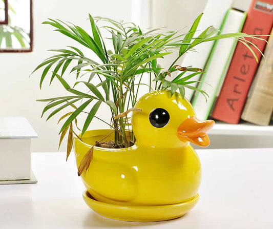 Ducky planter