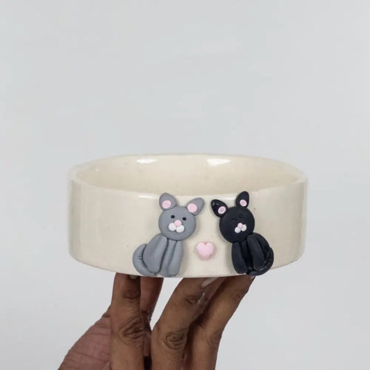 Cat bowl