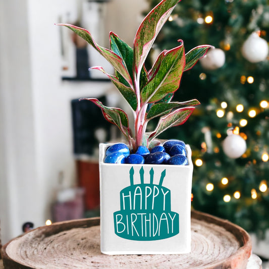 Personalised Birthday Plant Pot Personalised with Any Name & Message